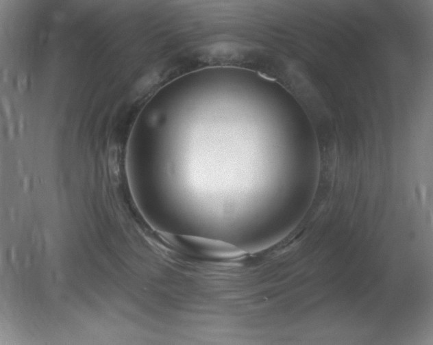 X0000082160232200701191250