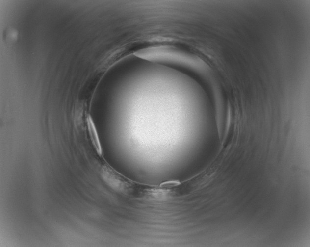 X0000082160233200701191250