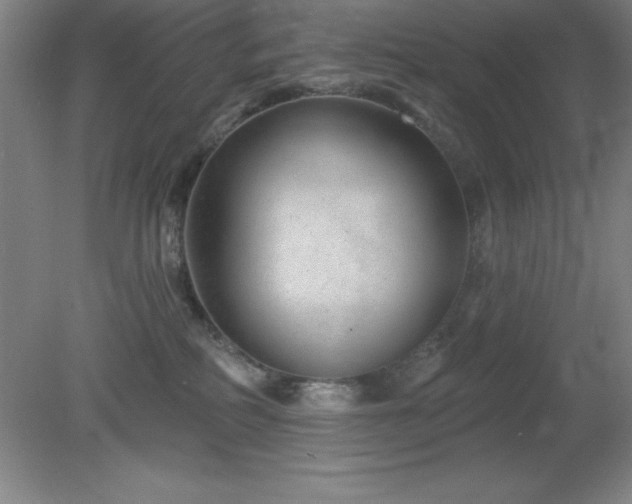 X0000082160234200701191250
