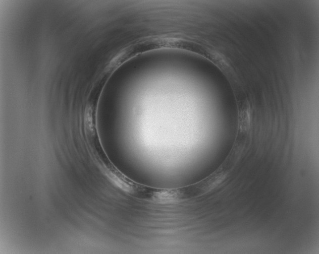 X0000082160238200701191250
