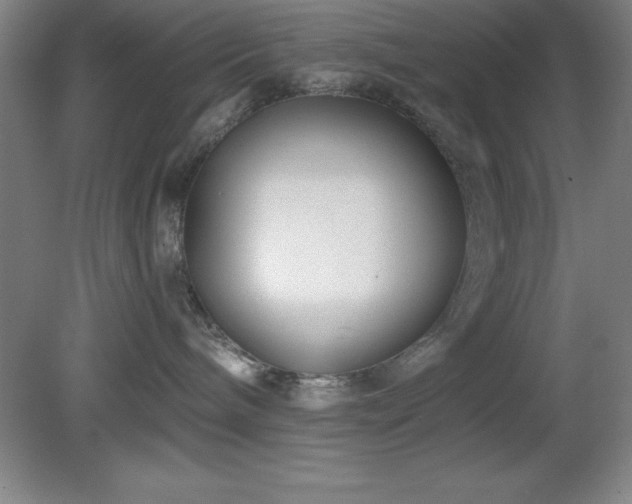X0000082160240200701191249