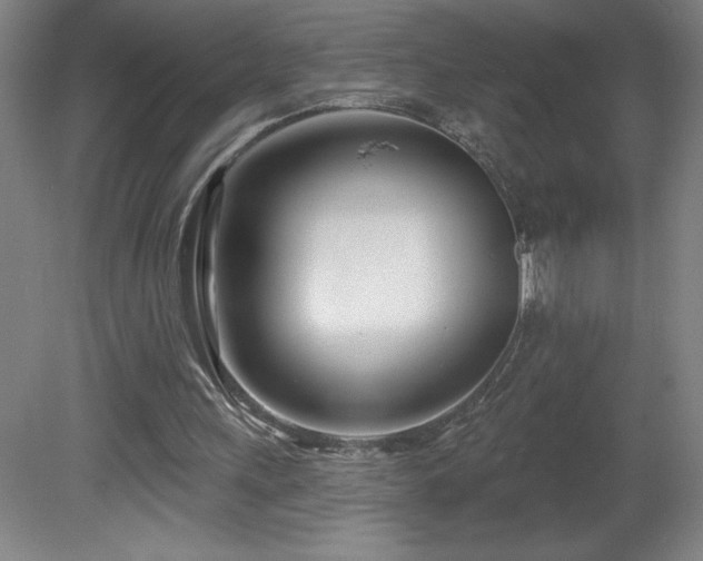 X0000082160243200701191249