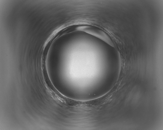X0000082160244200701191249