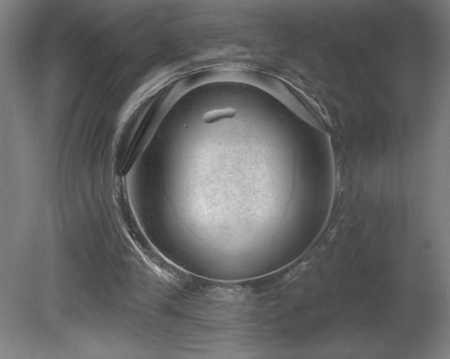X0000082160245200701191249