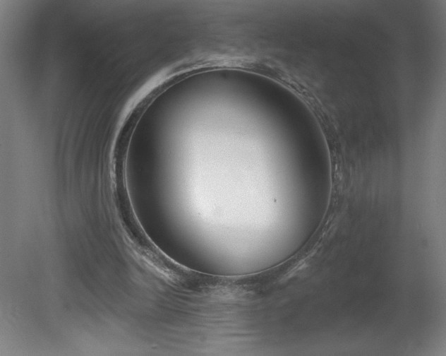 X0000082160246200701191249