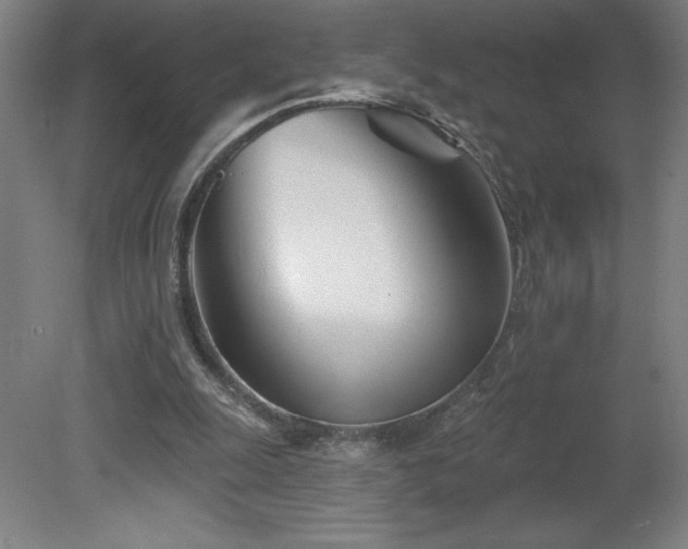 X0000082160247200701191249