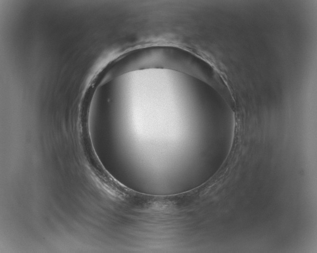 X0000082160248200701191249