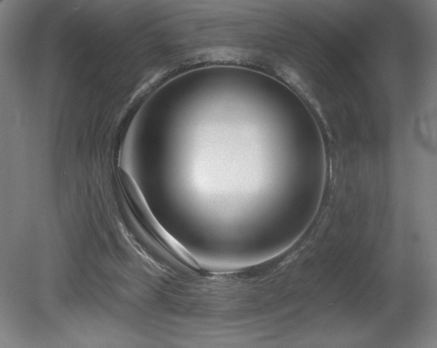 X0000082160249200701191249