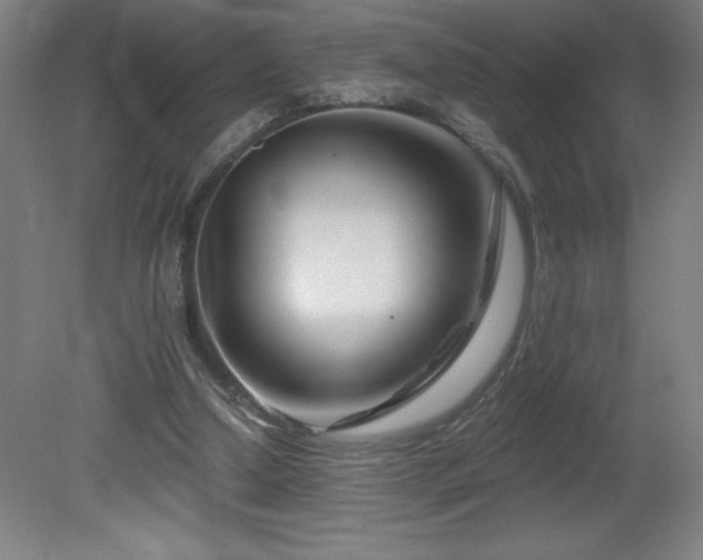 X0000082160250200701191249