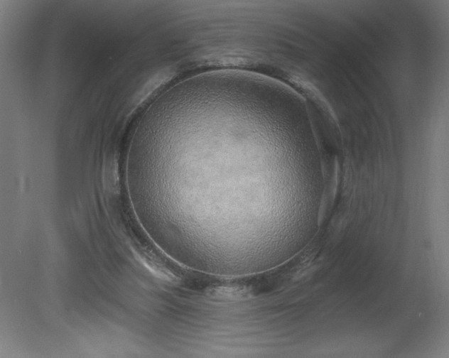 X0000082160251200701191249