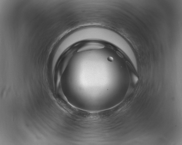X0000082160252200701191249