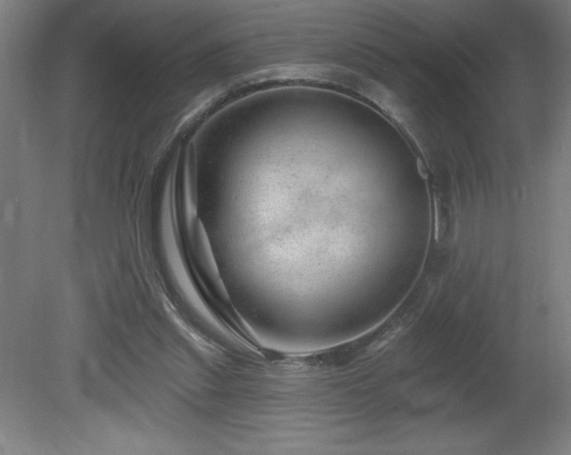 X0000082160253200701191249