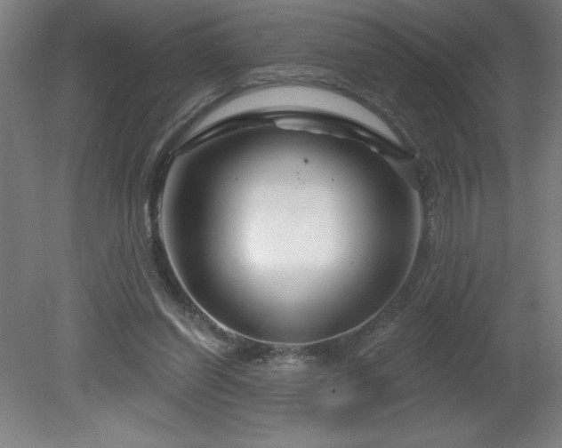 X0000082160254200701191249
