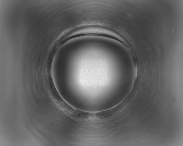 X0000082160256200701191249