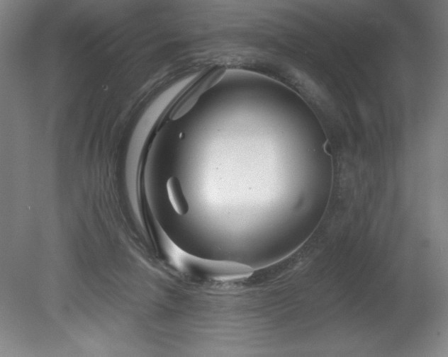 X0000082160258200701191249
