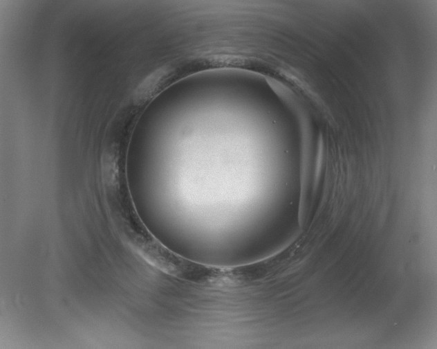 X0000082160259200701191249