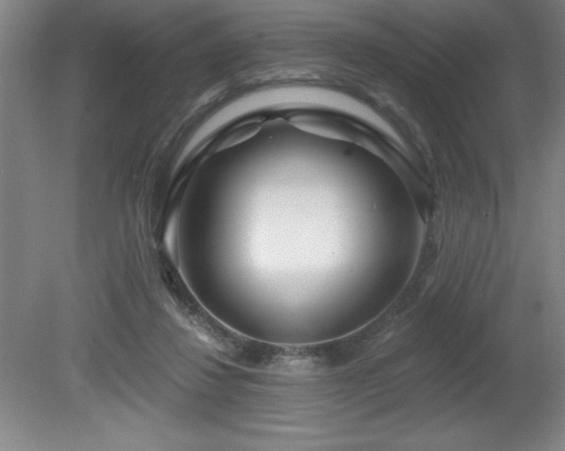 X0000082160260200701191249