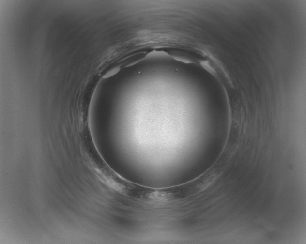 X0000082160261200701191249
