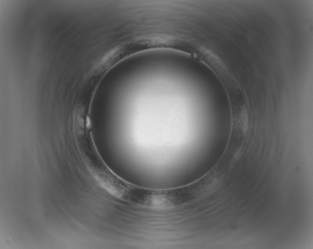 X0000082160264200701191249
