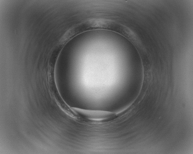 X0000082160265200701191249