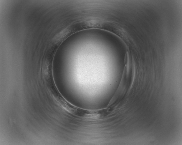 X0000082160266200701191249