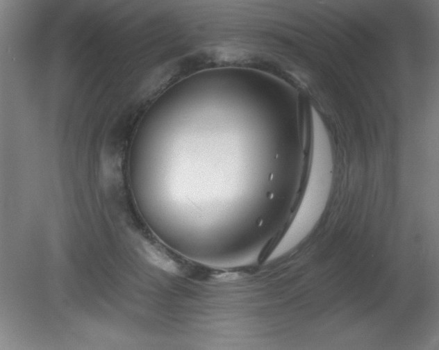 X0000082160269200701191249
