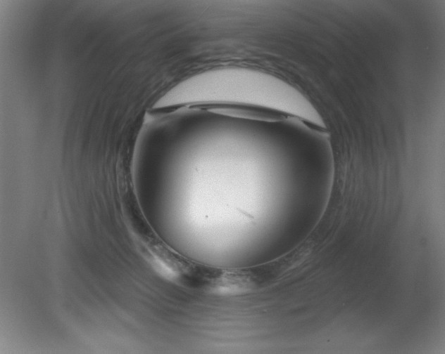 X0000082160270200701191249