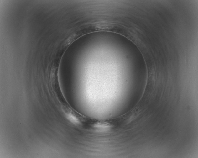 X0000082160271200701191249