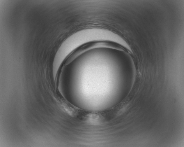 X0000082160272200701191249