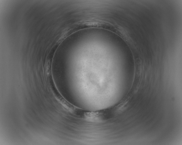 X0000082160273200701191249