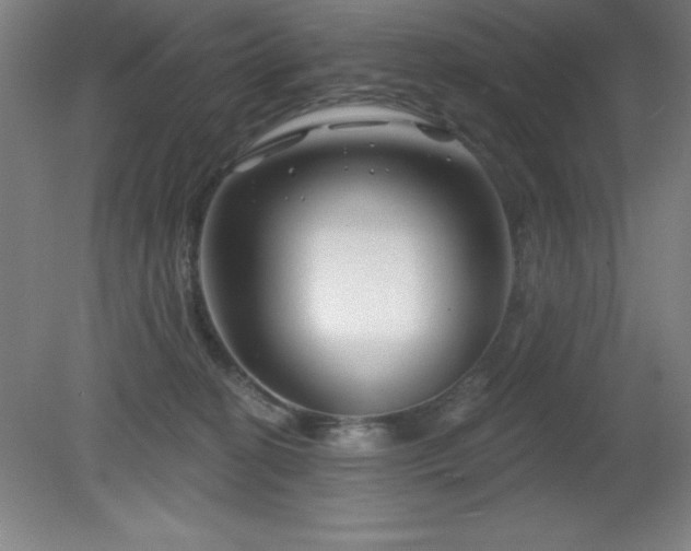 X0000082160274200701191249
