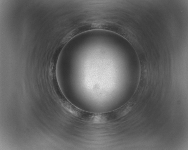 X0000082160275200701191249