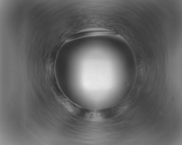 X0000082160276200701191249