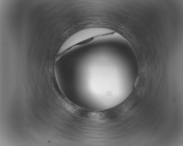 X0000082160277200701191249
