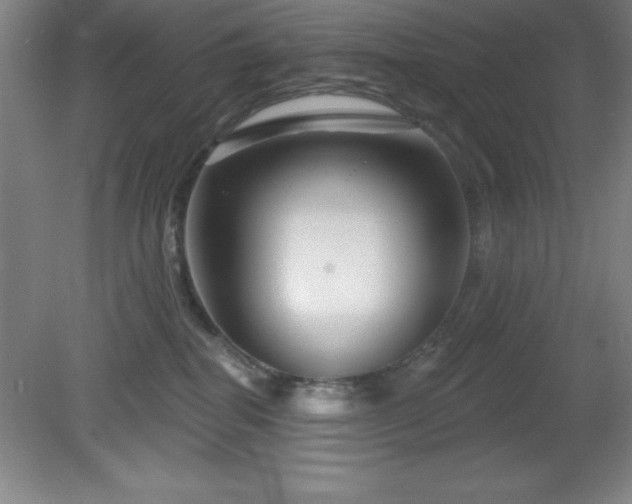 X0000082160282200701191249
