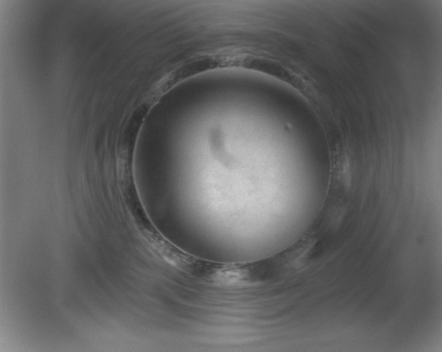 X0000082160283200701191249