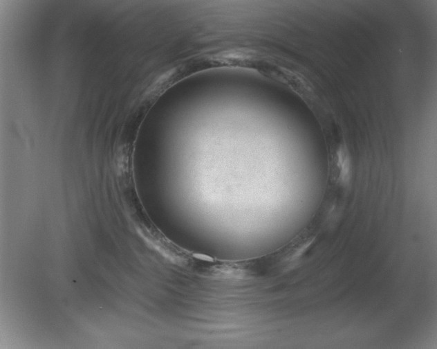 X0000082160284200701191249