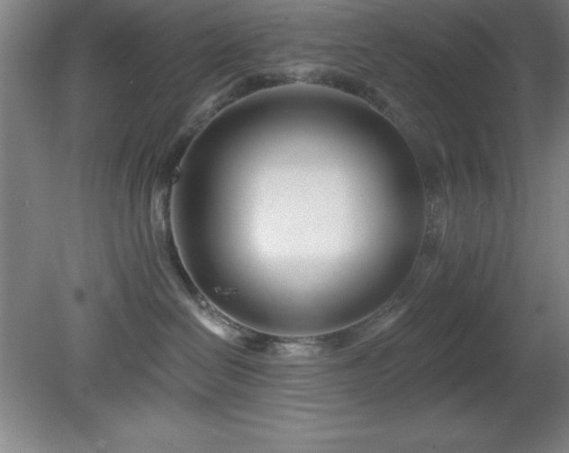 X0000082160286200701191249