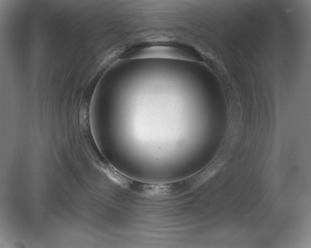 X0000082160288200701191249