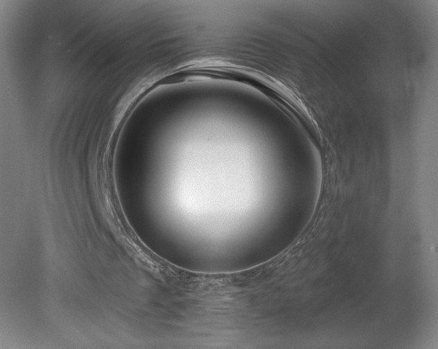 X0000082160289200701191249