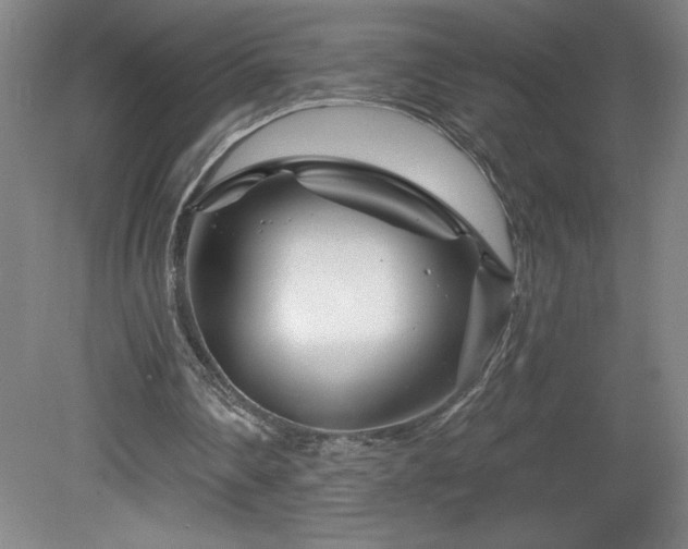 X0000082160290200701191249