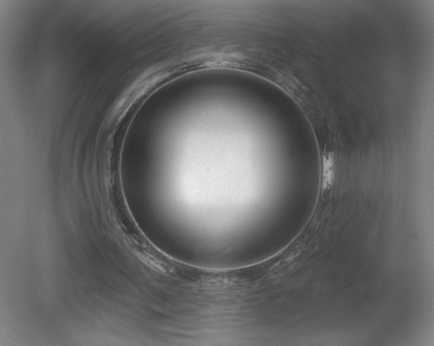 X0000082160291200701191249