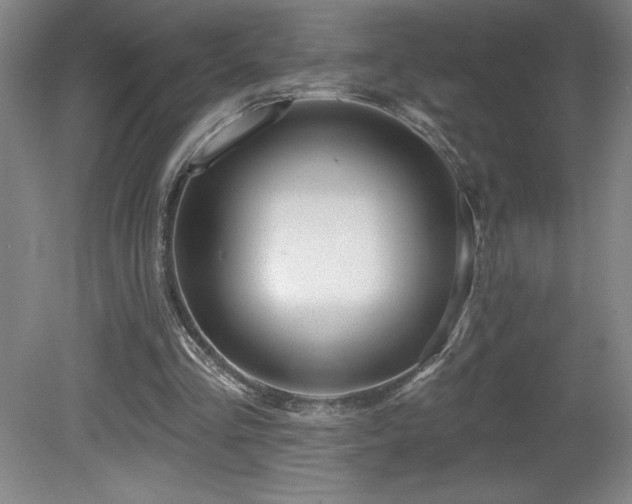 X0000082160293200701191249