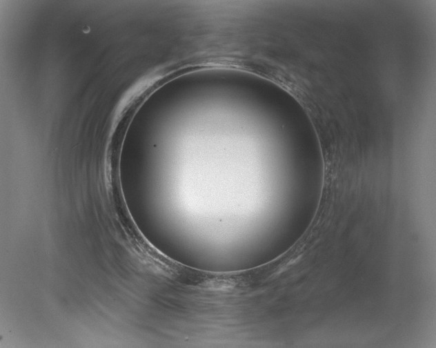 X0000082160294200701191249