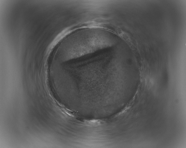 X0000082160295200701191249