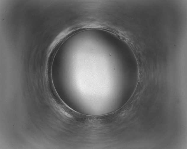 X0000082160296200701191249