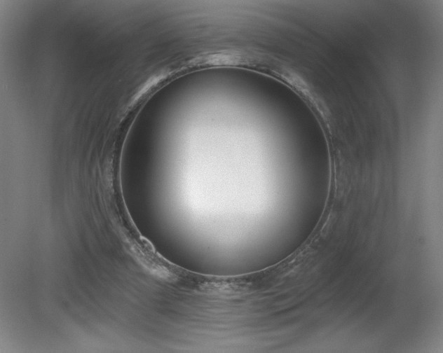 X0000082160297200701191249