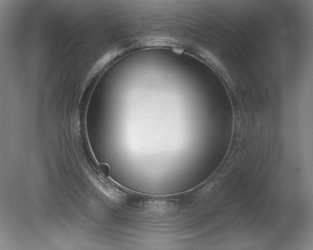 X0000082160298200701191248