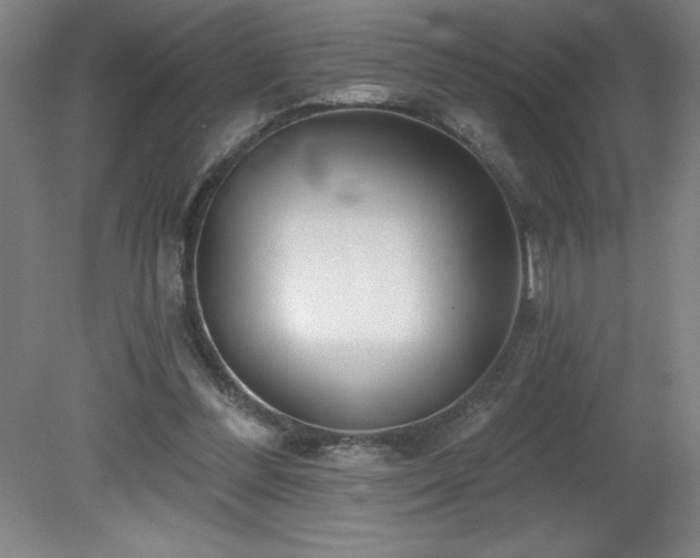 X0000082160300200701191248