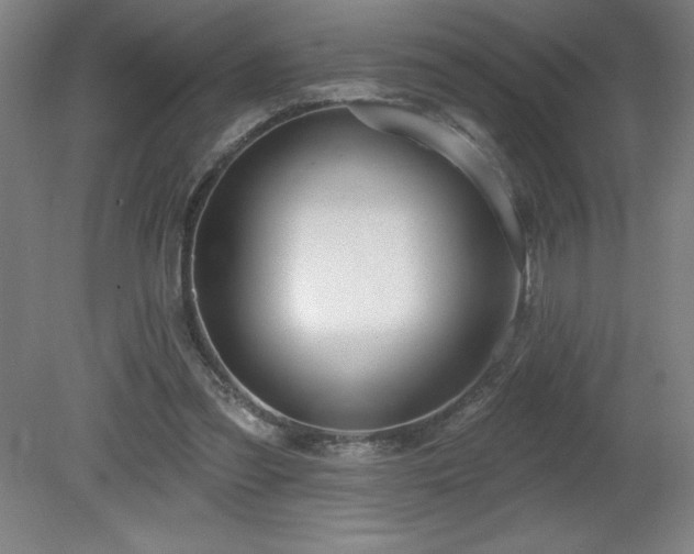 X0000082160301200701191248